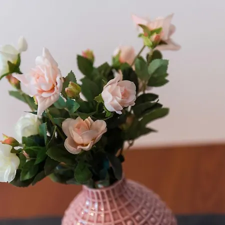 Studio Apartment Near Lapad Beach